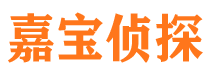 尼木市私家侦探